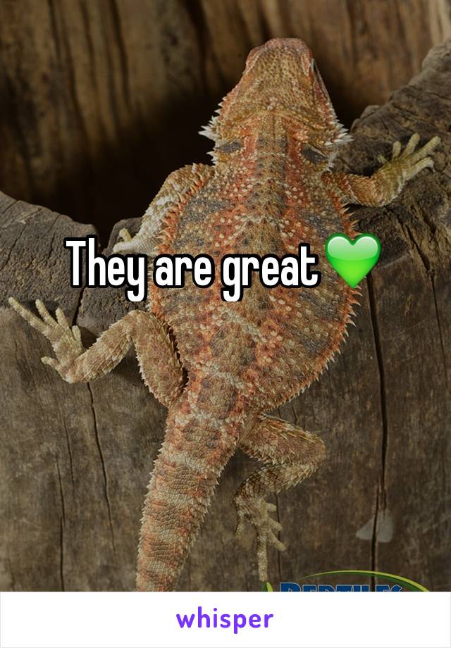 They are great💚