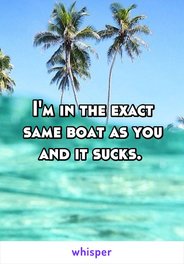 I'm in the exact same boat as you and it sucks. 