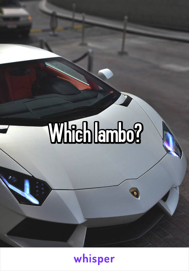 Which lambo?