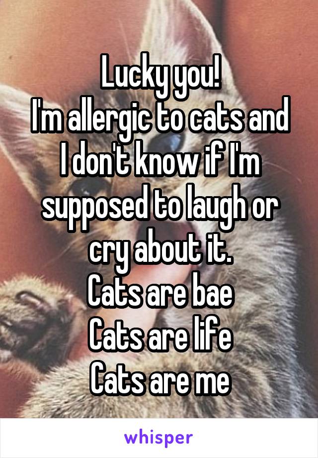 Lucky you!
I'm allergic to cats and I don't know if I'm supposed to laugh or cry about it.
Cats are bae
Cats are life
Cats are me