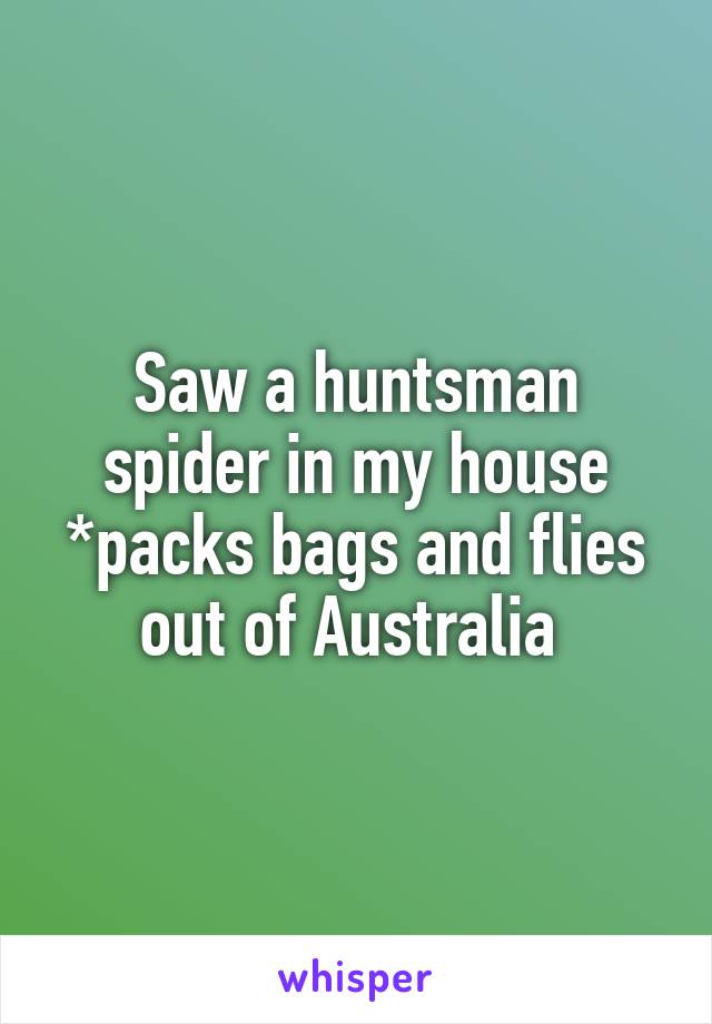 Saw a huntsman spider in my house *packs bags and flies out of Australia 