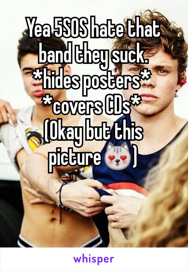 Yea 5SOS hate that band they suck.
*hides posters* 
*covers CDs* 
(Okay but this picture😻)