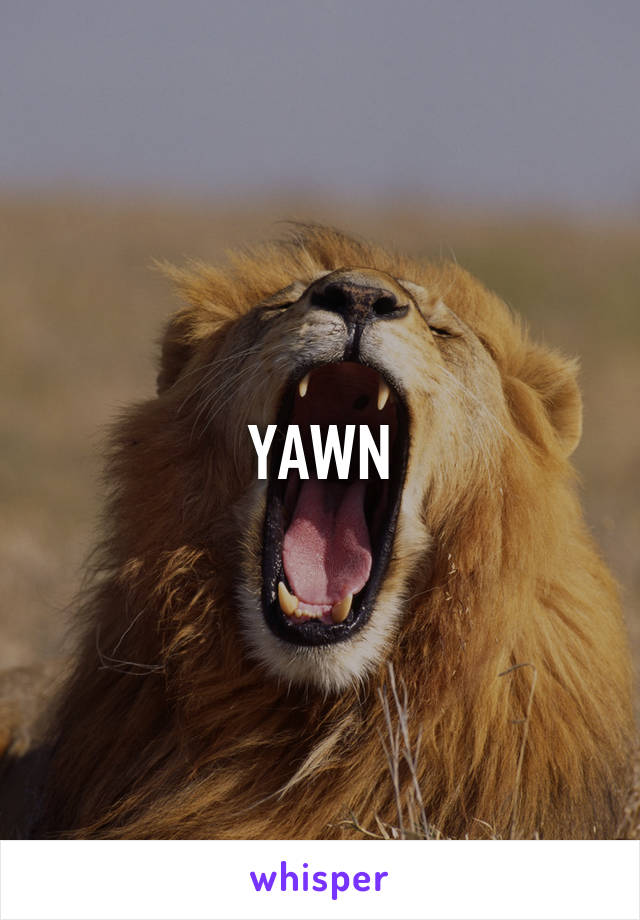 YAWN