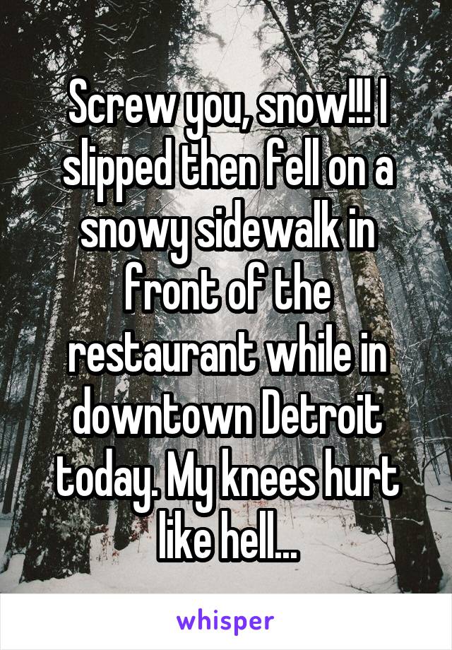 Screw you, snow!!! I slipped then fell on a snowy sidewalk in front of the restaurant while in downtown Detroit today. My knees hurt like hell...