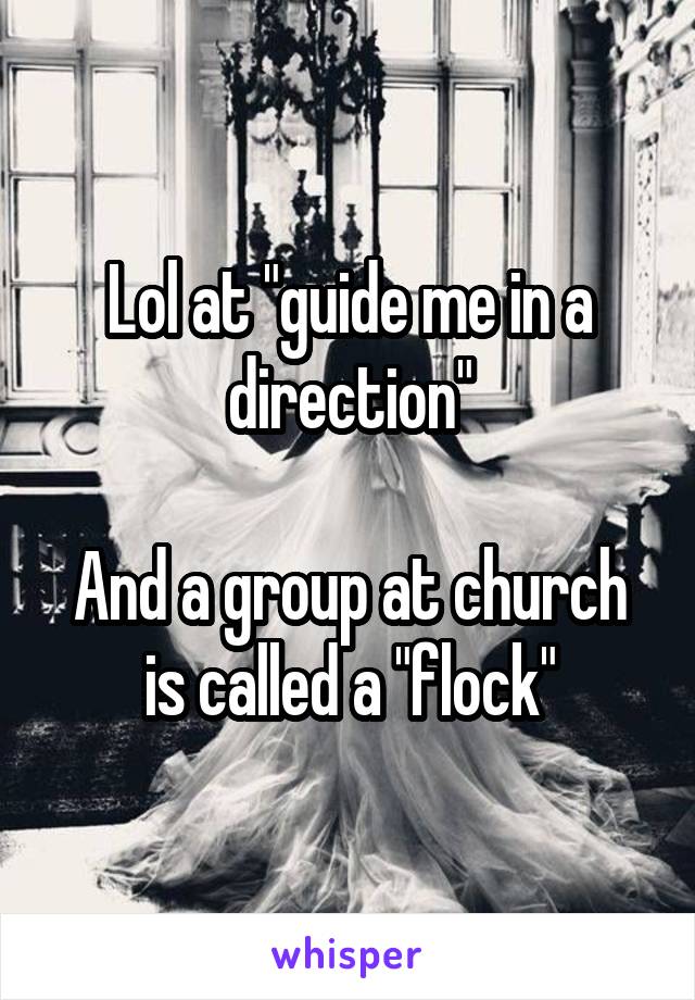 Lol at "guide me in a direction"

And a group at church is called a "flock"
