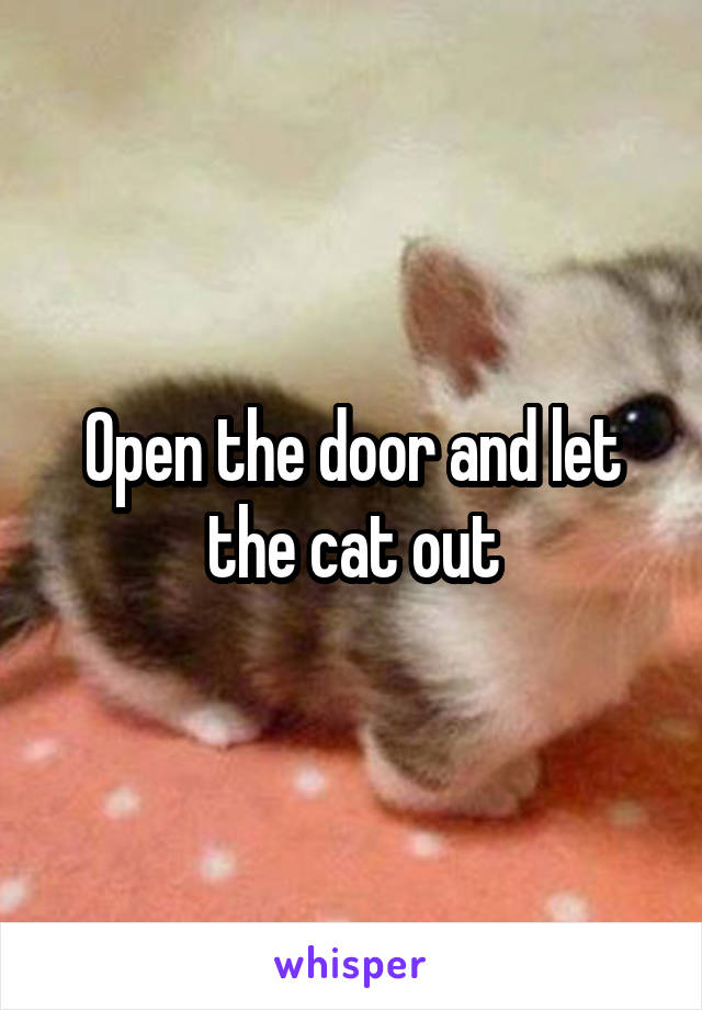 Open the door and let the cat out