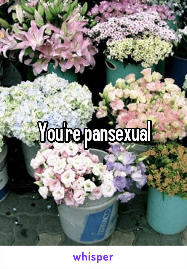 You're pansexual