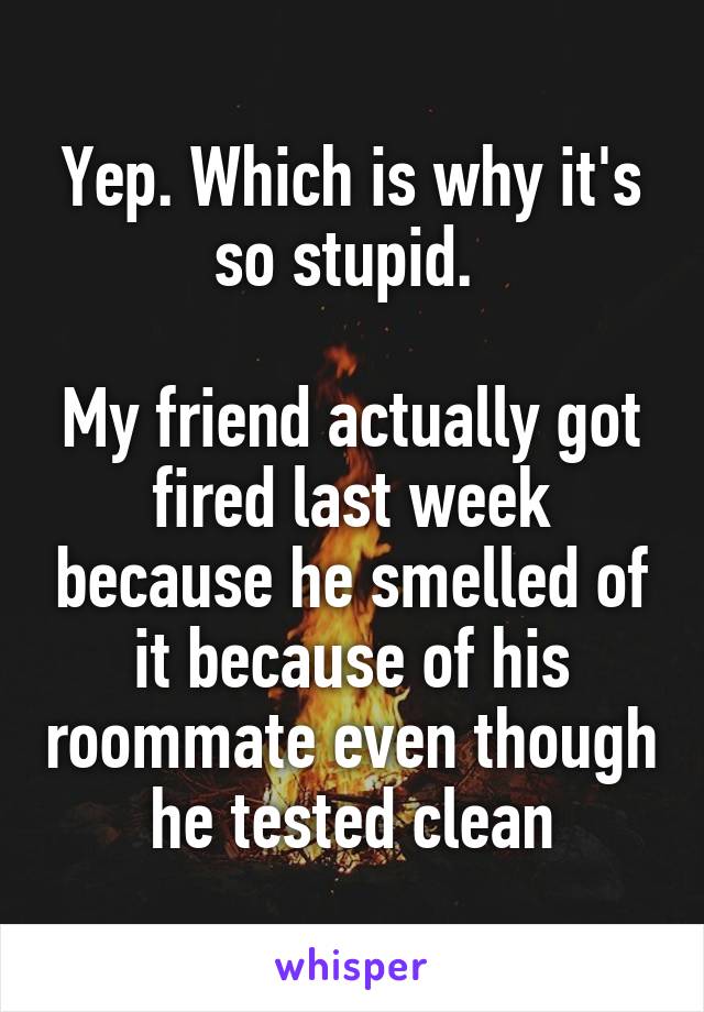 Yep. Which is why it's so stupid. 

My friend actually got fired last week because he smelled of it because of his roommate even though he tested clean