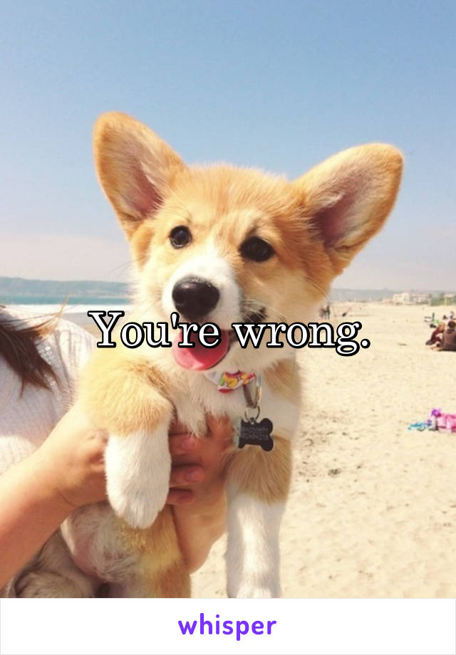 You're wrong.