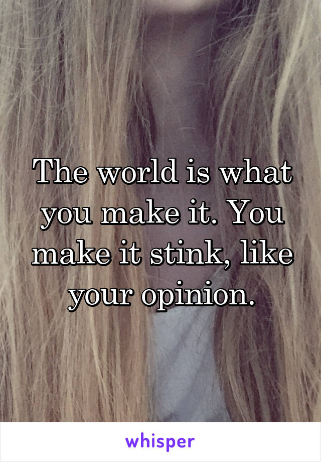 The world is what you make it. You make it stink, like your opinion.