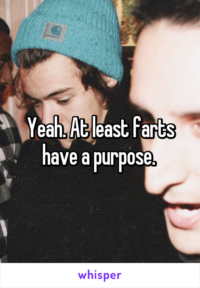 Yeah. At least farts have a purpose. 