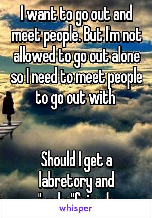 I want to go out and meet people. But I'm not allowed to go out alone so I need to meet people to go out with 


Should I get a labretory and "make"friends