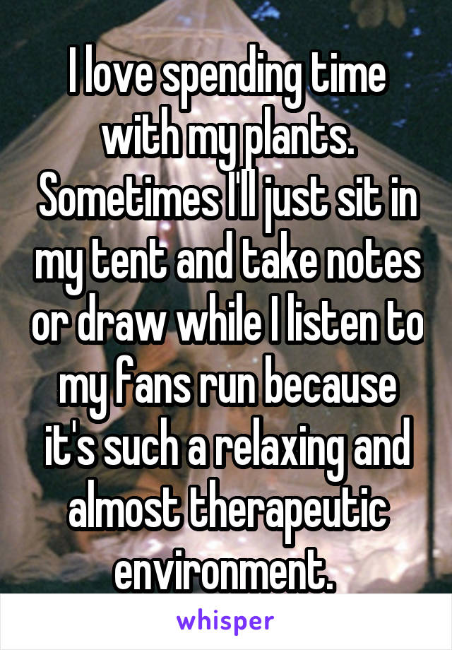 I love spending time with my plants. Sometimes I'll just sit in my tent and take notes or draw while I listen to my fans run because it's such a relaxing and almost therapeutic environment. 