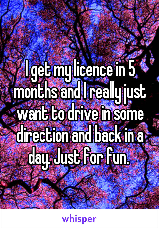 I get my licence in 5 months and I really just want to drive in some direction and back in a day. Just for fun. 