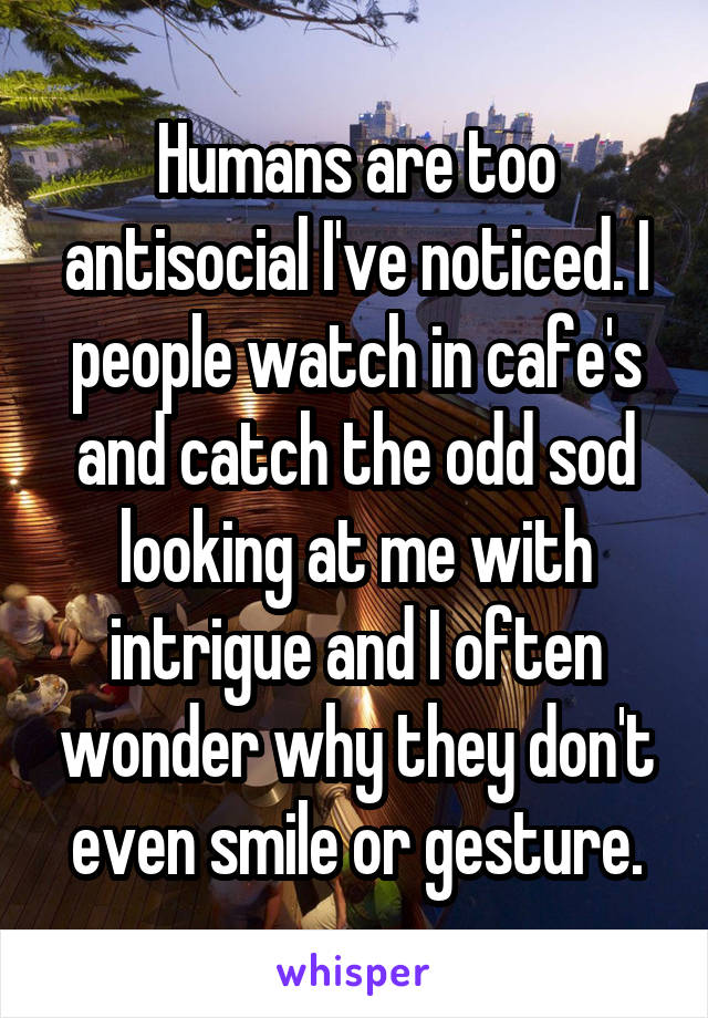 Humans are too antisocial I've noticed. I people watch in cafe's and catch the odd sod looking at me with intrigue and I often wonder why they don't even smile or gesture.