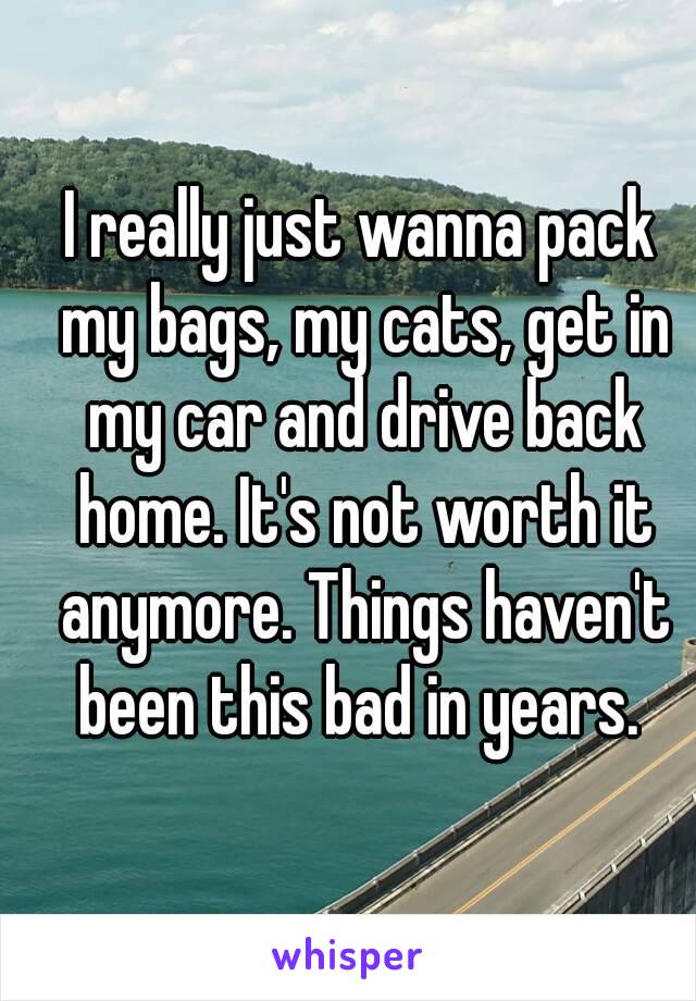 I really just wanna pack my bags, my cats, get in my car and drive back home. It's not worth it anymore. Things haven't been this bad in years. 