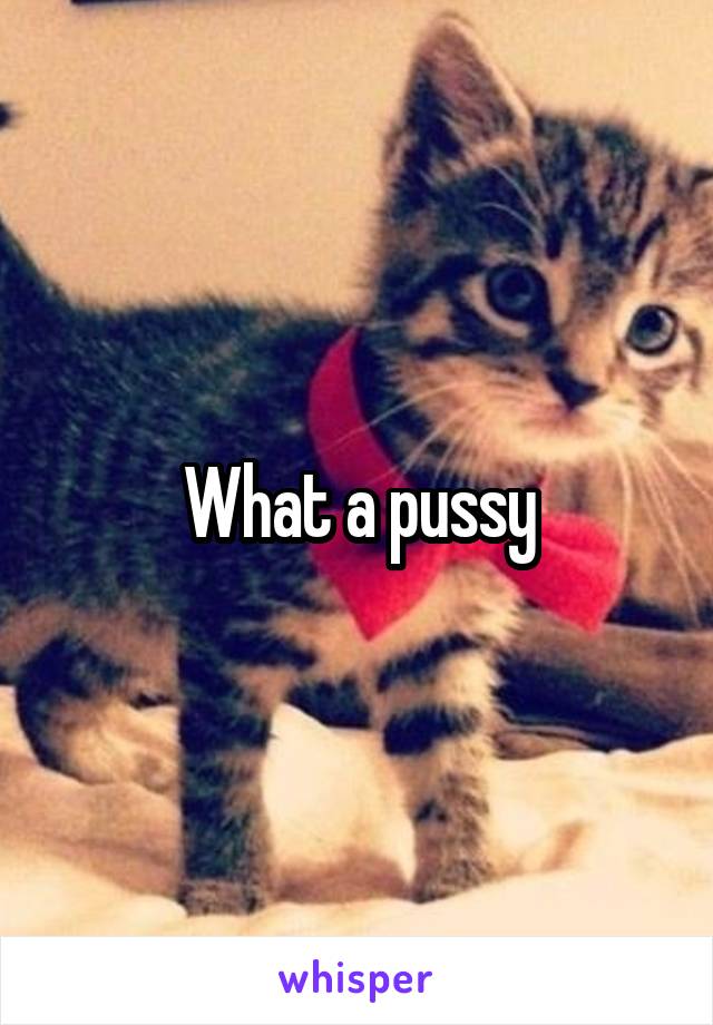 What a pussy