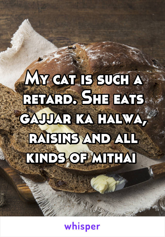 My cat is such a retard. She eats gajjar ka halwa, raisins and all kinds of mithai 