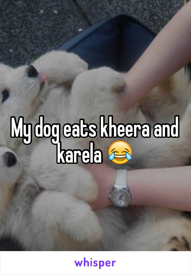 My dog eats kheera and karela 😂