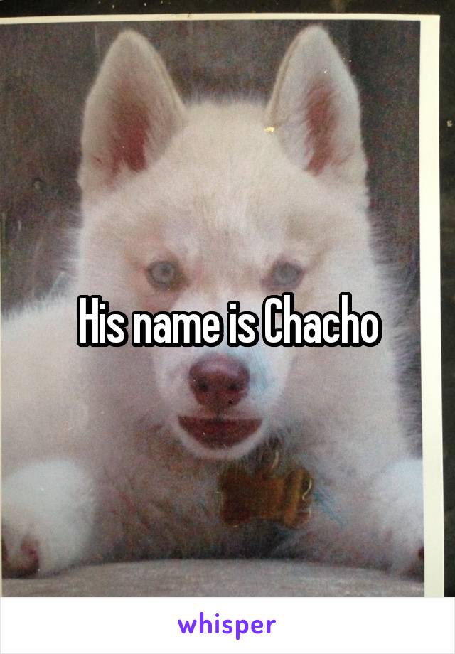 His name is Chacho