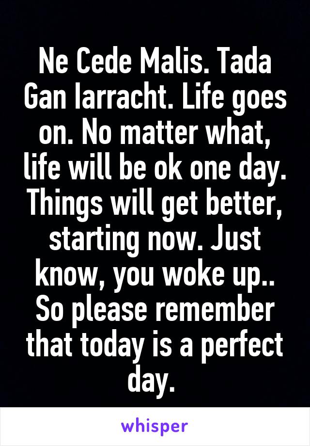 Ne Cede Malis. Tada Gan Iarracht. Life goes on. No matter what, life will be ok one day. Things will get better, starting now. Just know, you woke up.. So please remember that today is a perfect day. 