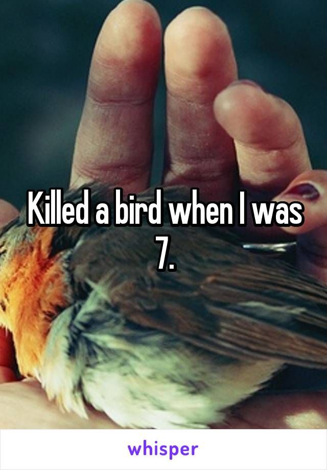 Killed a bird when I was 7.