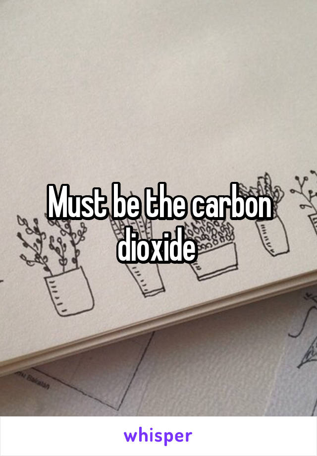 Must be the carbon dioxide 