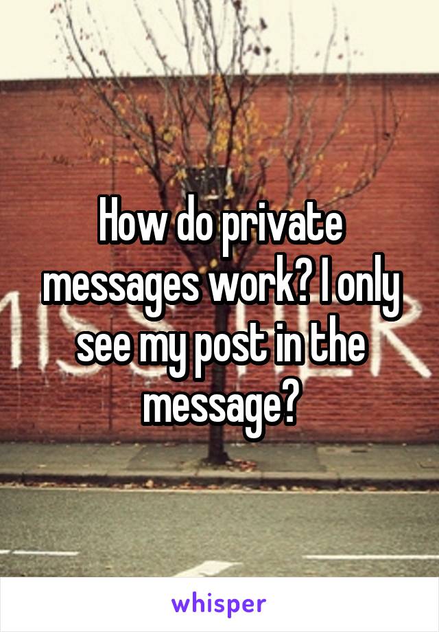 How do private messages work? I only see my post in the message?