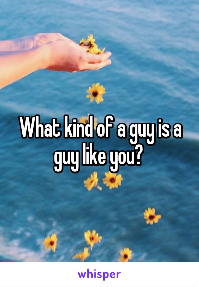 What kind of a guy is a guy like you? 