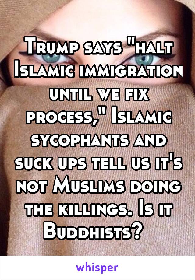 Trump says "halt Islamic immigration until we fix process," Islamic sycophants and suck ups tell us it's not Muslims doing the killings. Is it Buddhists?  