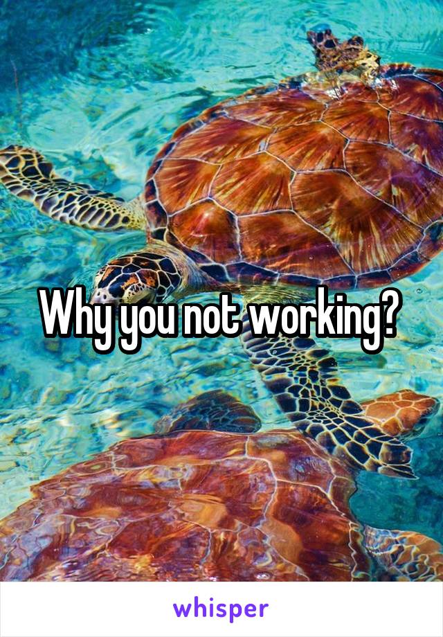 Why you not working? 