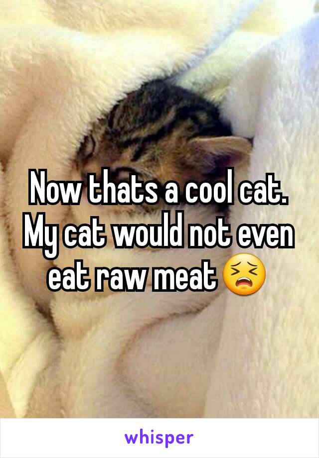 Now thats a cool cat. My cat would not even eat raw meat😣