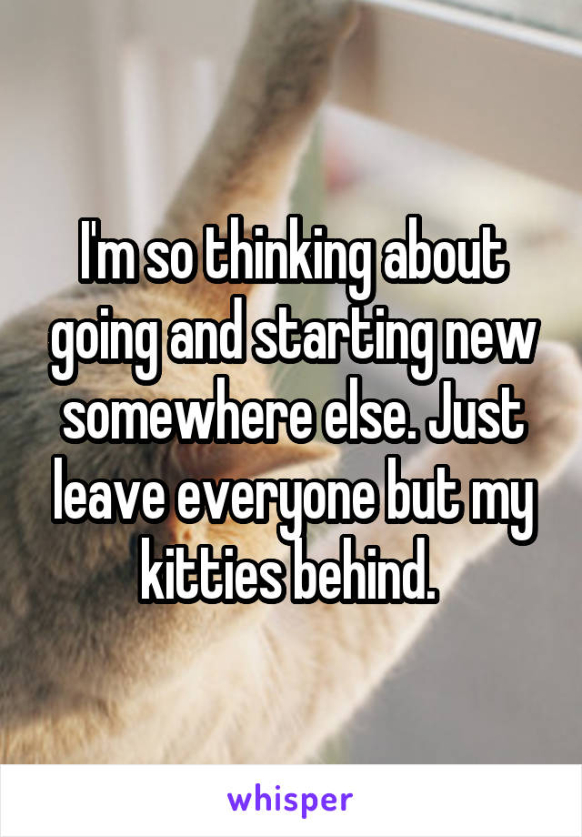 I'm so thinking about going and starting new somewhere else. Just leave everyone but my kitties behind. 