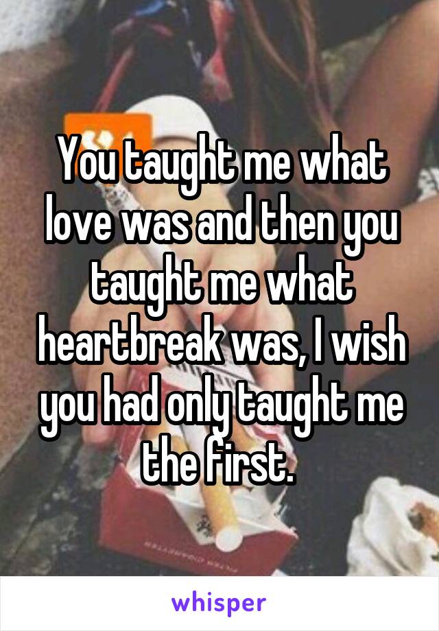 You taught me what love was and then you taught me what heartbreak was, I wish you had only taught me the first. 