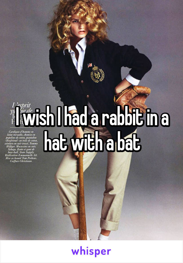 I wish I had a rabbit in a hat with a bat