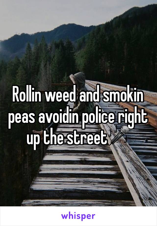 Rollin weed and smokin peas avoidin police right up the street🎤