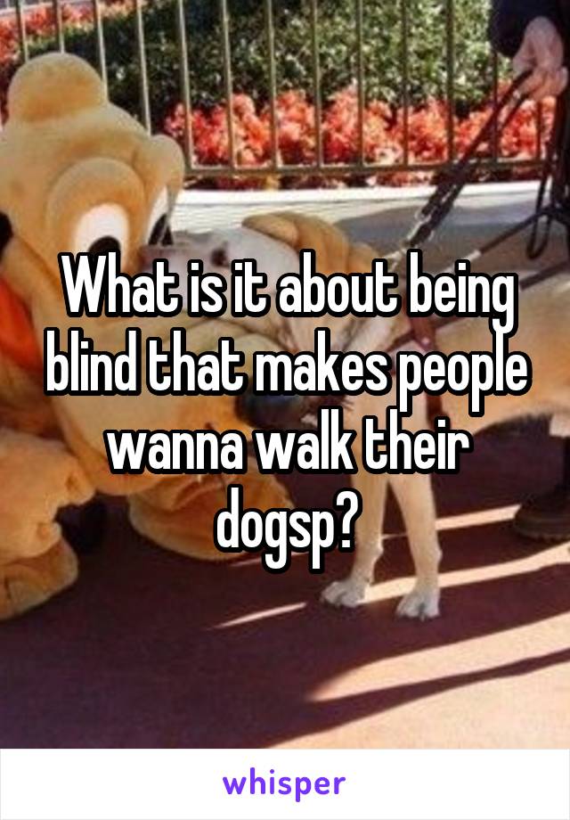 What is it about being blind that makes people wanna walk their dogsp?