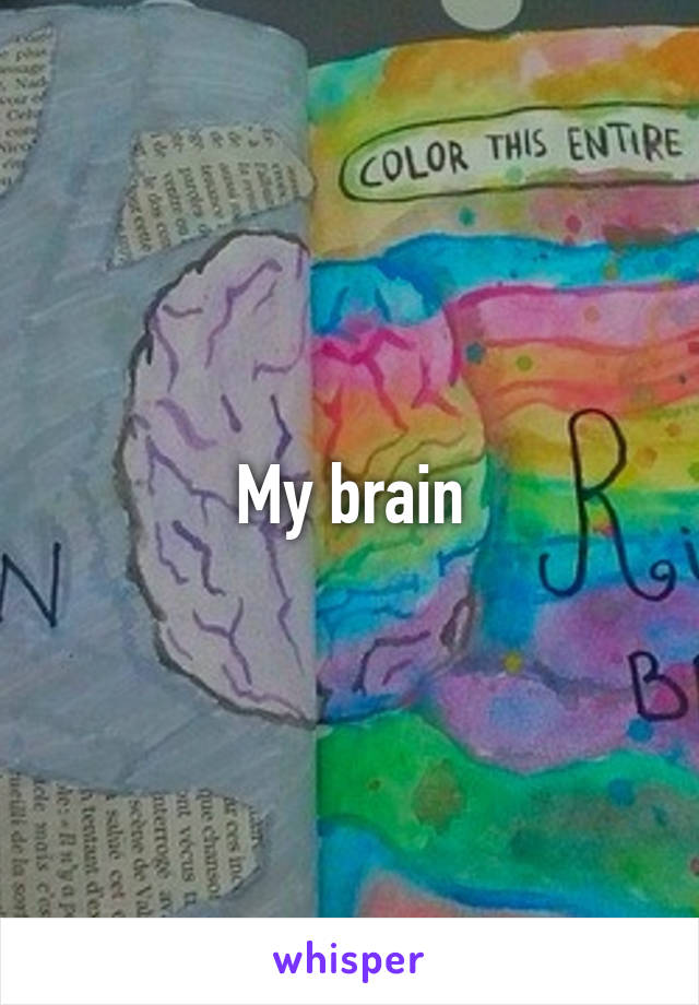 My brain