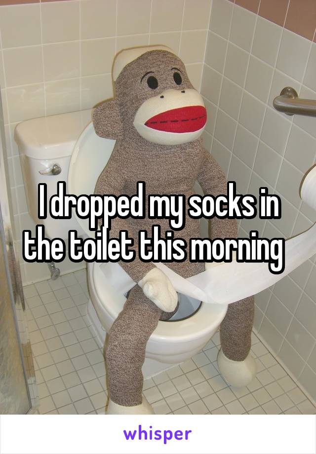 I dropped my socks in the toilet this morning  