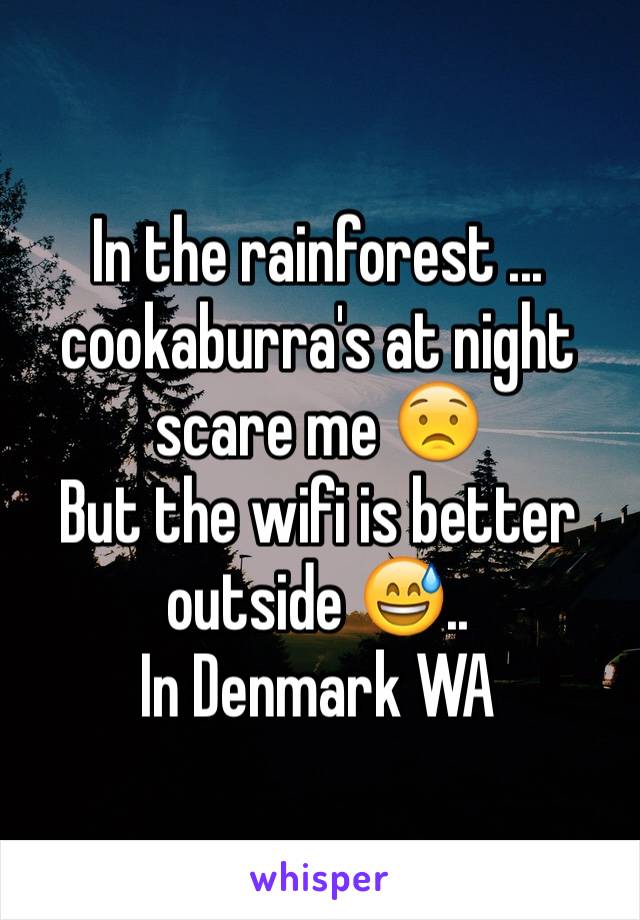 In the rainforest ...
cookaburra's at night scare me 😟
But the wifi is better outside 😅.. 
In Denmark WA