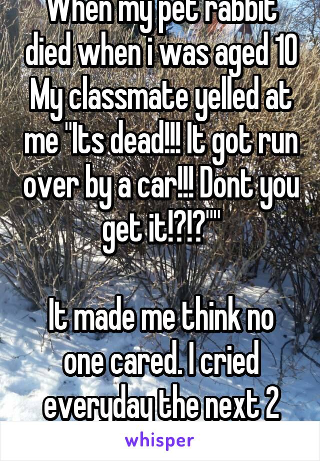 When my pet rabbit died when i was aged 10
My classmate yelled at me "Its dead!!! It got run over by a car!!! Dont you get it!?!?""

It made me think no one cared. I cried everyday the next 2 weeks.