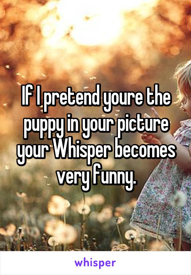 If I pretend youre the puppy in your picture your Whisper becomes very funny.