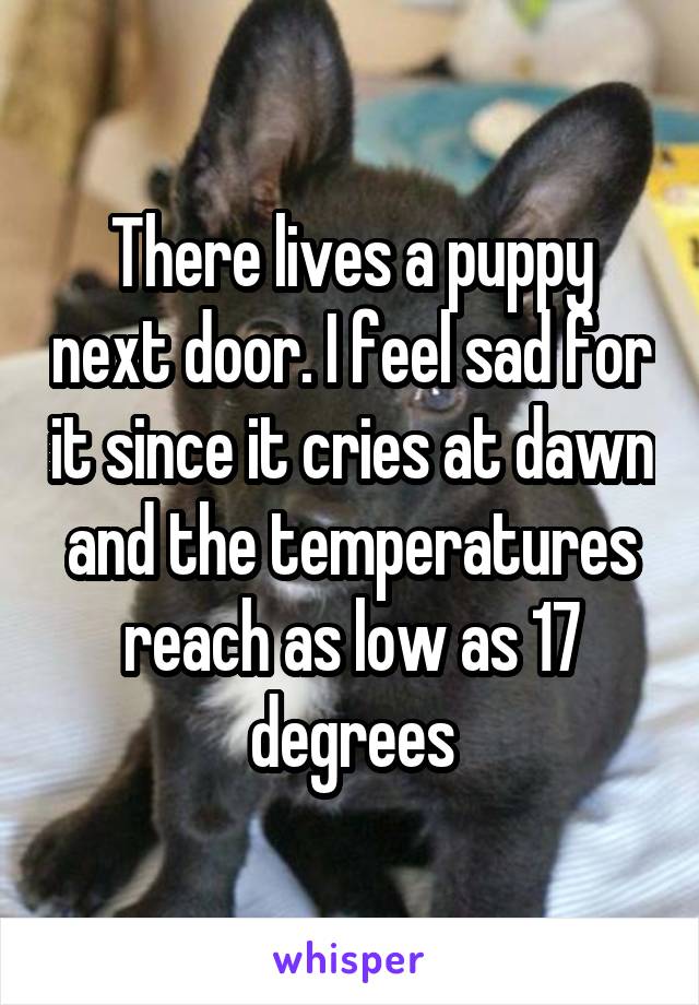 There lives a puppy next door. I feel sad for it since it cries at dawn and the temperatures reach as low as 17 degrees