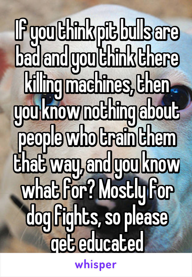 If you think pit bulls are bad and you think there killing machines, then you know nothing about people who train them that way, and you know what for? Mostly for dog fights, so please get educated