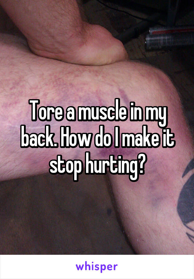 Tore a muscle in my back. How do I make it stop hurting?