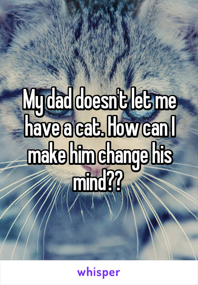 My dad doesn't let me have a cat. How can I make him change his mind?? 