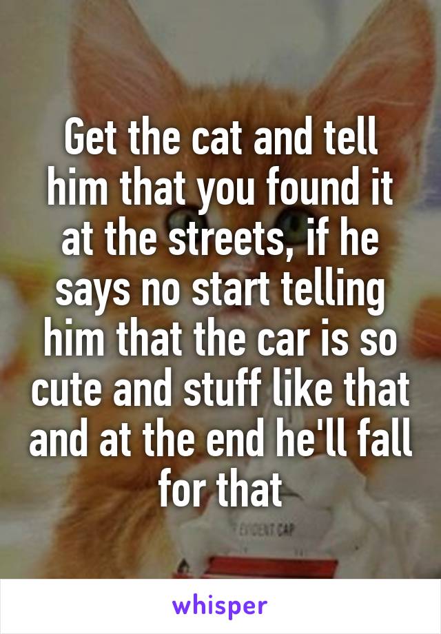 Get the cat and tell him that you found it at the streets, if he says no start telling him that the car is so cute and stuff like that and at the end he'll fall for that