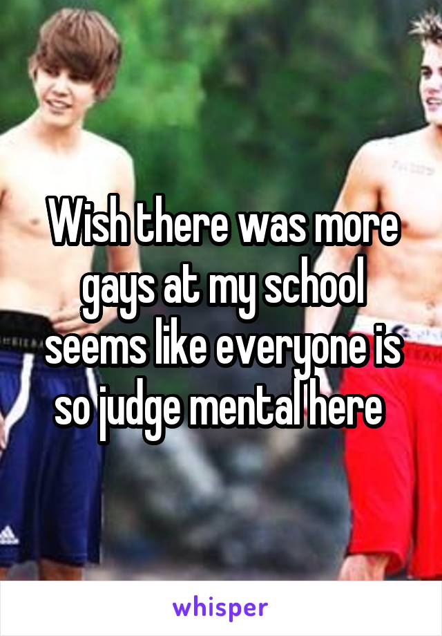 Wish there was more gays at my school seems like everyone is so judge mental here 