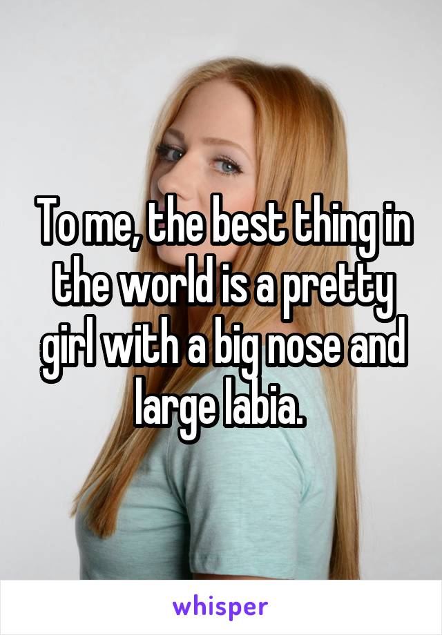 To me, the best thing in the world is a pretty girl with a big nose and large labia. 