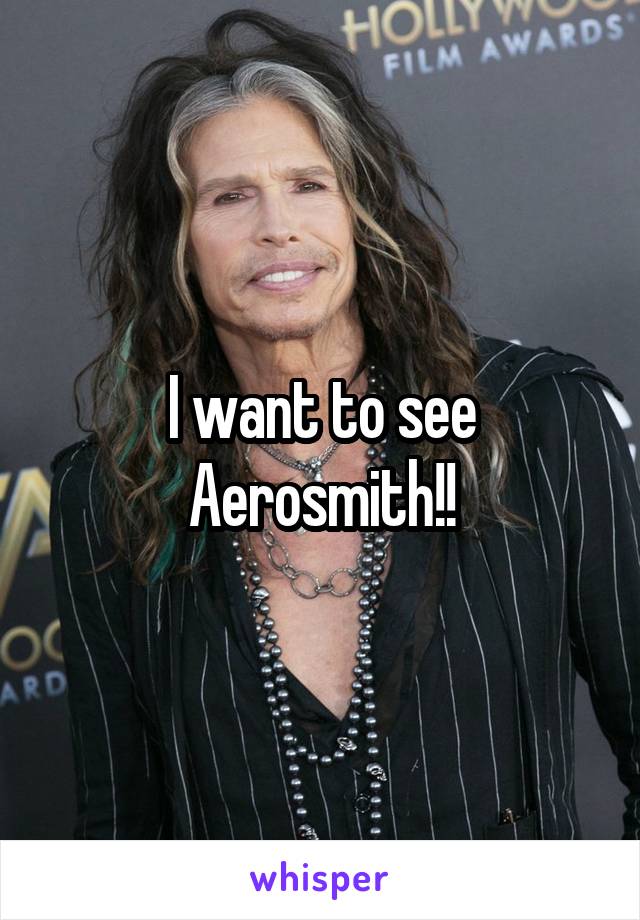 I want to see Aerosmith!!
